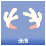 珊瑚