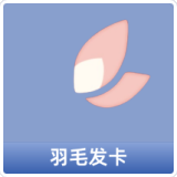 羽毛发卡
