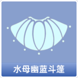 水母幽蓝斗篷