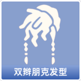 双辫朋克发型