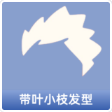 带叶小枝发型