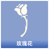 玫瑰花