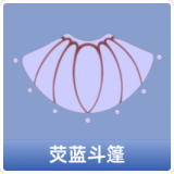 荧蓝斗篷