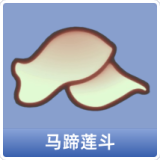 马蹄莲斗