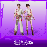 壮锦芳华