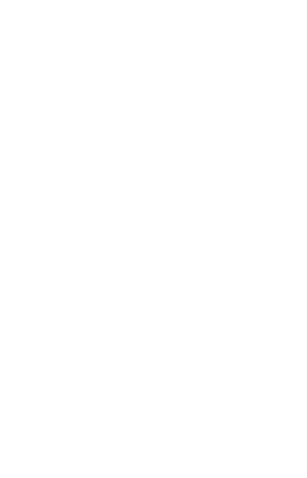 佩洛伊斯