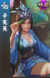 辛宪英