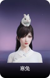 寒兔