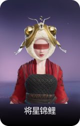 将星锦鲤