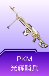 PKM-光辉哨兵