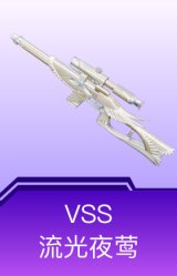 VSS-流光夜莺