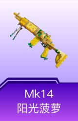 Mk14-阳光菠萝
