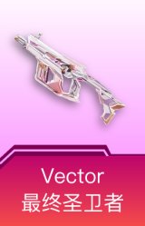 Vector-最终圣卫者