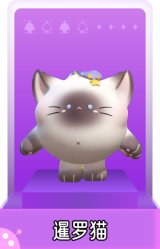 暹罗猫