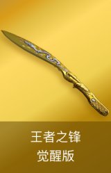 王者之锋-觉醒版