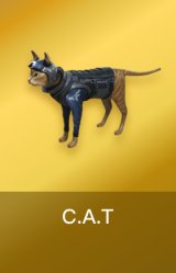 C.A.T