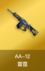 AA-12-雷霆