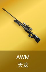 AWM-天龙