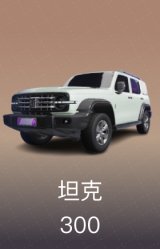 坦克 300