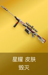 毁灭-星耀 皮肤