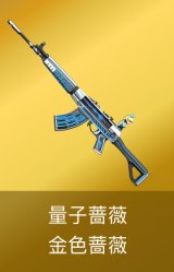 金色蔷薇-量子蔷薇