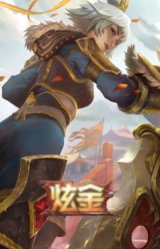 替父从军 花木兰 炫金龙刃