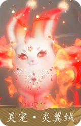 灵宠·炎翼绒