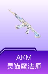 AKM-灵猫魔法师