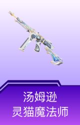 汤姆逊-灵猫魔法师