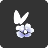 蝴蝶与花发饰礼包