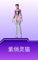 紫俏灵猫