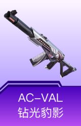 AC-VAL-钻光豹影