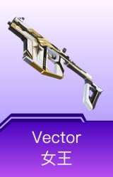 Vector-女王