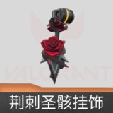 荆刺圣骸挂饰
