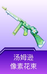 汤姆逊-像素花束