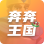 奔奔王国