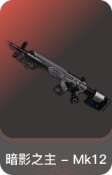 暗影之主 - Mk12