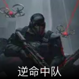 逆命中队卡面
