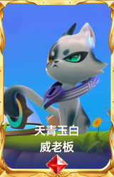 天青玉白 威老板