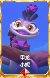 甲龙 小妮