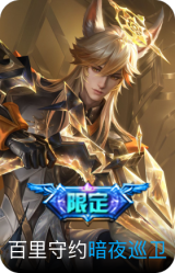 暗夜巡卫